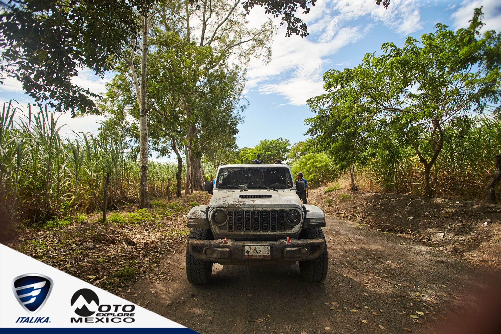 ITALIKA CHACHALACAS D2 182